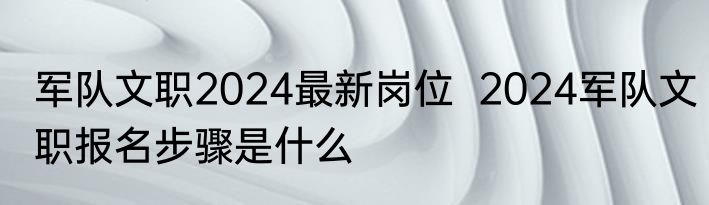军队文职2024最新岗位  2024军队文职报名步骤是什么