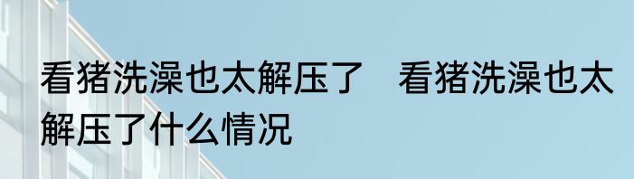 看猪洗澡也太解压了   看猪洗澡也太解压了什么情况