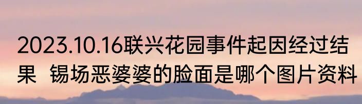 2023.10.16联兴花园事件起因经过结果  锡场恶婆婆的脸面是哪个图片资料