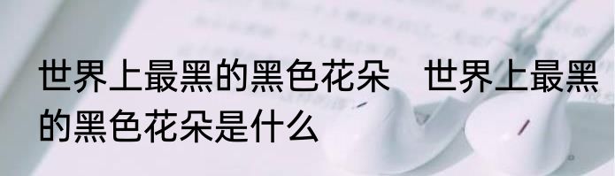 世界上最黑的黑色花朵   	世界上最黑的黑色花朵是什么