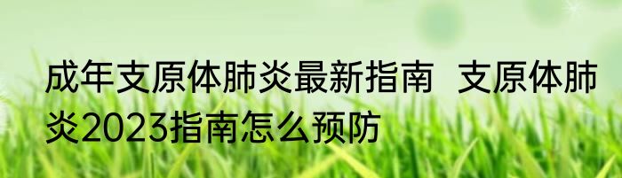 成年支原体肺炎最新指南  支原体肺炎2023指南怎么预防