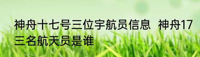神舟十七号三位宇航员信息  神舟17三名航天员是谁