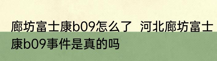 廊坊富士康b09怎么了  河北廊坊富士康b09事件是真的吗 