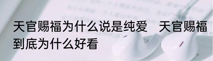 天官赐福为什么说是纯爱   天官赐福到底为什么好看