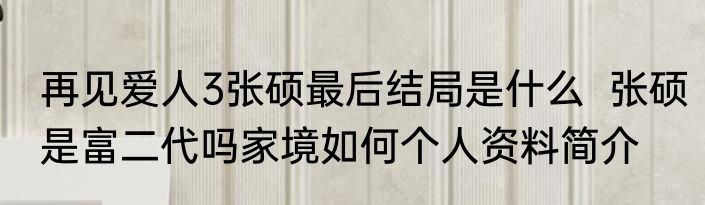 再见爱人3张硕最后结局是什么  张硕是富二代吗家境如何个人资料简介