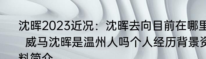 沈晖2023近况：沈晖去向目前在哪里  威马沈晖是温州人吗个人经历背景资料简介