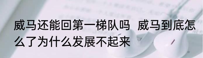 威马还能回第一梯队吗  威马到底怎么了为什么发展不起来