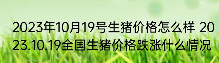 2023年10月19号生猪价格怎么样 2023.10.19全国生猪价格跌涨什么情况