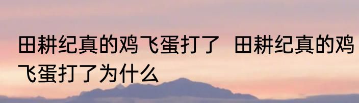 田耕纪真的鸡飞蛋打了  	田耕纪真的鸡飞蛋打了为什么