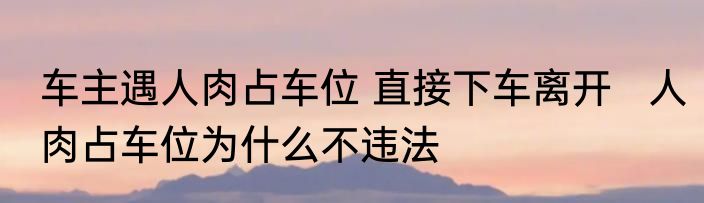 车主遇人肉占车位 直接下车离开   人肉占车位为什么不违法