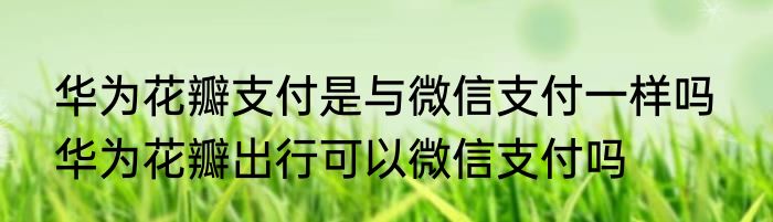 华为花瓣支付是与微信支付一样吗  华为花瓣出行可以微信支付吗