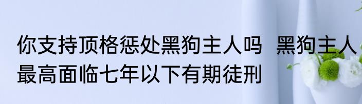 你支持顶格惩处黑狗主人吗  黑狗主人最高面临七年以下有期徒刑