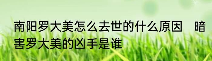 南阳罗大美怎么去世的什么原因   暗害罗大美的凶手是谁