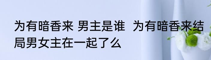 为有暗香来 男主是谁  为有暗香来结局男女主在一起了么
