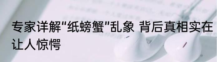专家详解“纸螃蟹”乱象 背后真相实在让人惊愕
