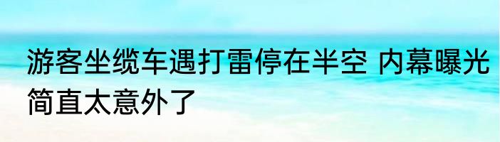 游客坐缆车遇打雷停在半空 内幕曝光简直太意外了