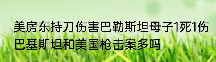  美房东持刀伤害巴勒斯坦母子1死1伤  巴基斯坦和美国枪击案多吗