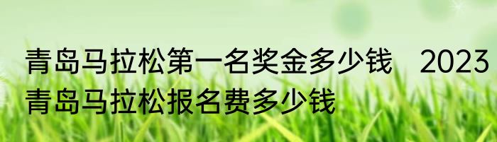 青岛马拉松第一名奖金多少钱   2023青岛马拉松报名费多少钱