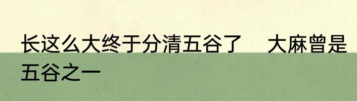 长这么大终于分清五谷了    大麻曾是五谷之一