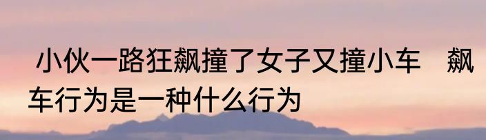  小伙一路狂飙撞了女子又撞小车   飙车行为是一种什么行为