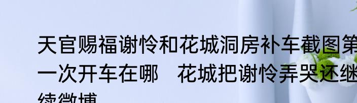 天官赐福谢怜和花城洞房补车截图第一次开车在哪   花城把谢怜弄哭还继续微博