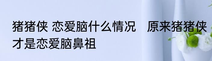 猪猪侠 恋爱脑什么情况   原来猪猪侠才是恋爱脑鼻祖