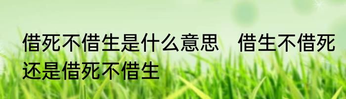 借死不借生是什么意思   借生不借死还是借死不借生