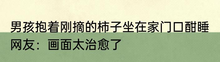 男孩抱着刚摘的柿子坐在家门口酣睡  网友：画面太治愈了