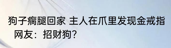 狗子瘸腿回家 主人在爪里发现金戒指   网友：招财狗?
