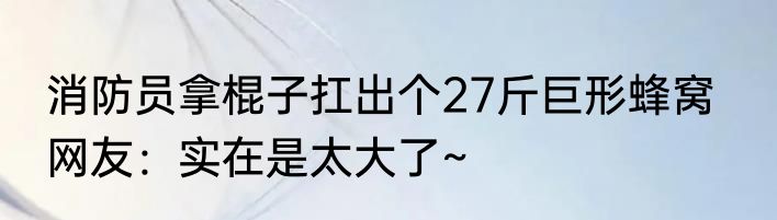 消防员拿棍子扛出个27斤巨形蜂窝   网友：实在是太大了~