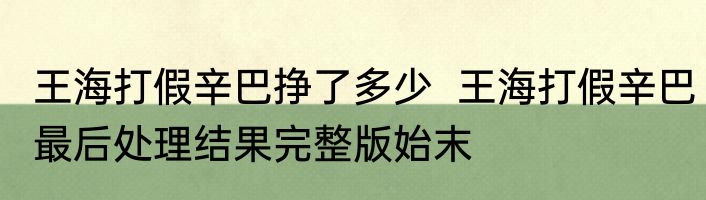 王海打假辛巴挣了多少  王海打假辛巴最后处理结果完整版始末