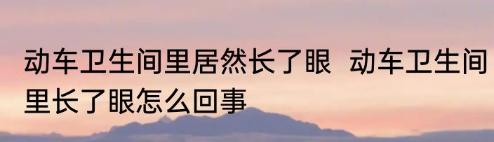 动车卫生间里居然长了眼  动车卫生间里长了眼怎么回事