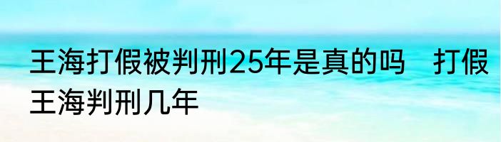 王海打假被判刑25年是真的吗   打假王海判刑几年