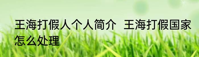 王海打假人个人简介  王海打假国家怎么处理