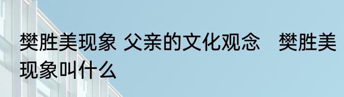 樊胜美现象 父亲的文化观念   樊胜美现象叫什么