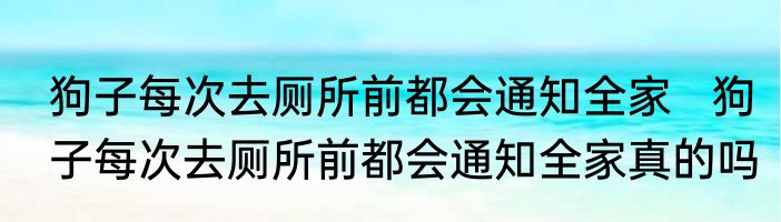 狗子每次去厕所前都会通知全家   狗子每次去厕所前都会通知全家真的吗