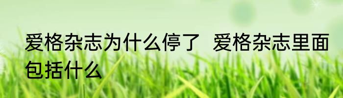 爱格杂志为什么停了  爱格杂志里面包括什么