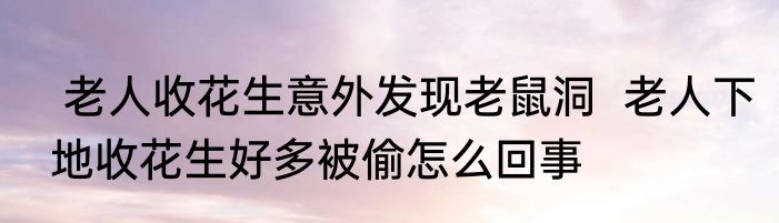  老人收花生意外发现老鼠洞  老人下地收花生好多被偷怎么回事