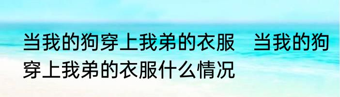 当我的狗穿上我弟的衣服   当我的狗穿上我弟的衣服什么情况