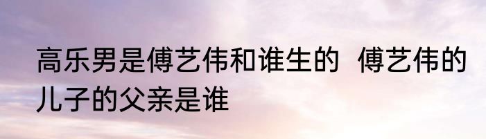 高乐男是傅艺伟和谁生的  傅艺伟的儿子的父亲是谁