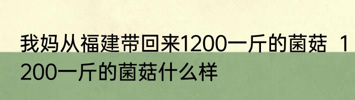 我妈从福建带回来1200一斤的菌菇  1200一斤的菌菇什么样