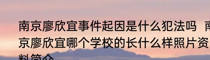 南京廖欣宜事件起因是什么犯法吗  南京廖欣宜哪个学校的长什么样照片资料简介