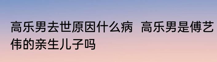 高乐男去世原因什么病  高乐男是傅艺伟的亲生儿子吗