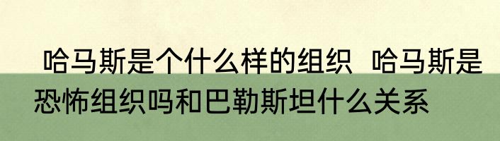 哈马斯是个什么样的组织  哈马斯是恐怖组织吗和巴勒斯坦什么关系