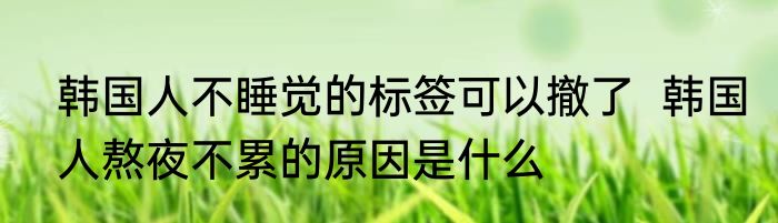 韩国人不睡觉的标签可以撤了  韩国人熬夜不累的原因是什么