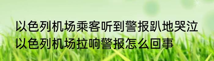 以色列机场乘客听到警报趴地哭泣  以色列机场拉响警报怎么回事