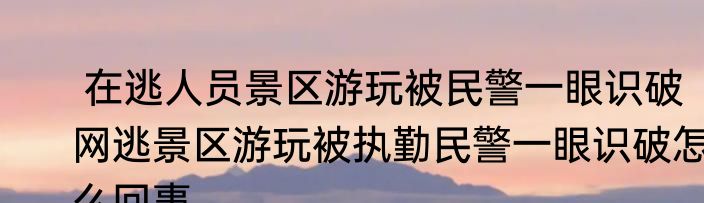 弄丢涉密文件女孩哭诉要失业民警解困   网友：为人民警察点赞