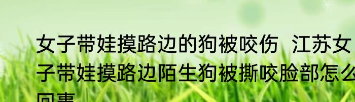 女子带娃摸路边的狗被咬伤  江苏女子带娃摸路边陌生狗被撕咬脸部怎么回事
