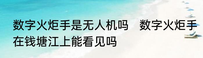 数字火炬手是无人机吗   数字火炬手在钱塘江上能看见吗
