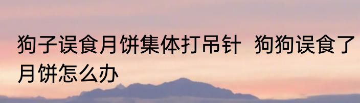 狗子误食月饼集体打吊针  狗狗误食了月饼怎么办